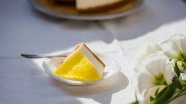 plating-instructions-image